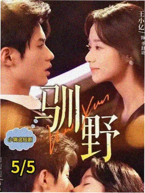 雾港档案剧集封面